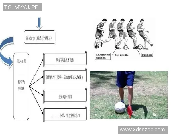 2012年足球明星数据包全面解析与统计分析报告
