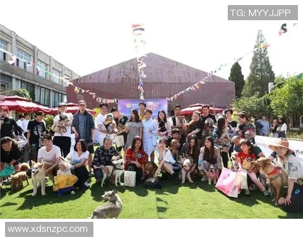 哈士奇足球明星盘点那些在绿茵场上闪耀的可爱犬友