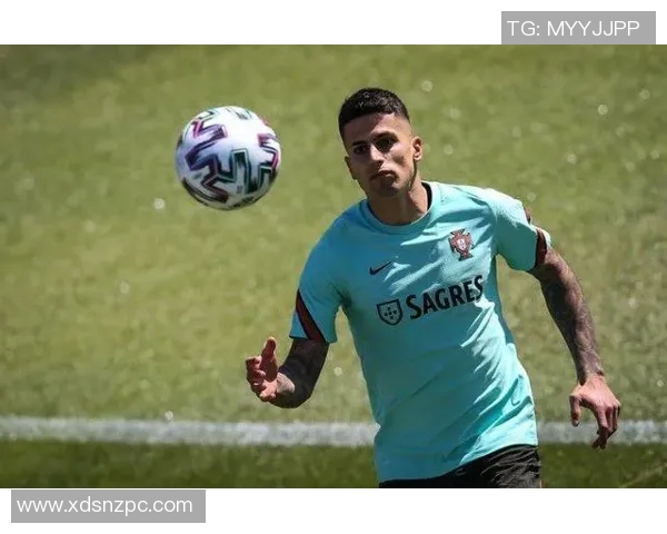 探索本命足球明星软件的功能与体验,助你找到最适合的球员搭档 探索本命足球明星软件的功能与体验,助你找到最适合的球员搭档