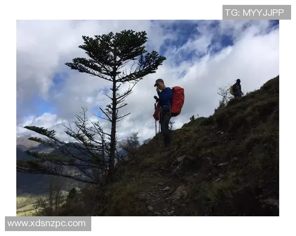 斯通斯的传奇之旅:从摇滚乐坛到文化象征的演变与影响 斯通斯的传奇之旅:从摇滚乐坛到文化象征的演变与影响